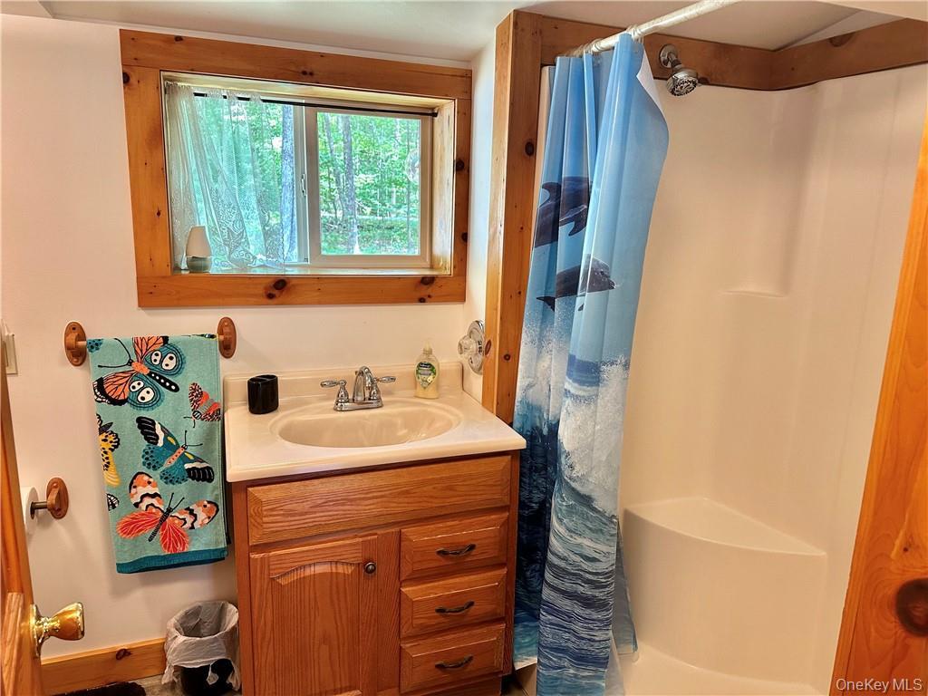 29 Dymond Road Kerhonkson, NY 12446 - Photo 16 of 18 a bathroom with a sink and a mirror
