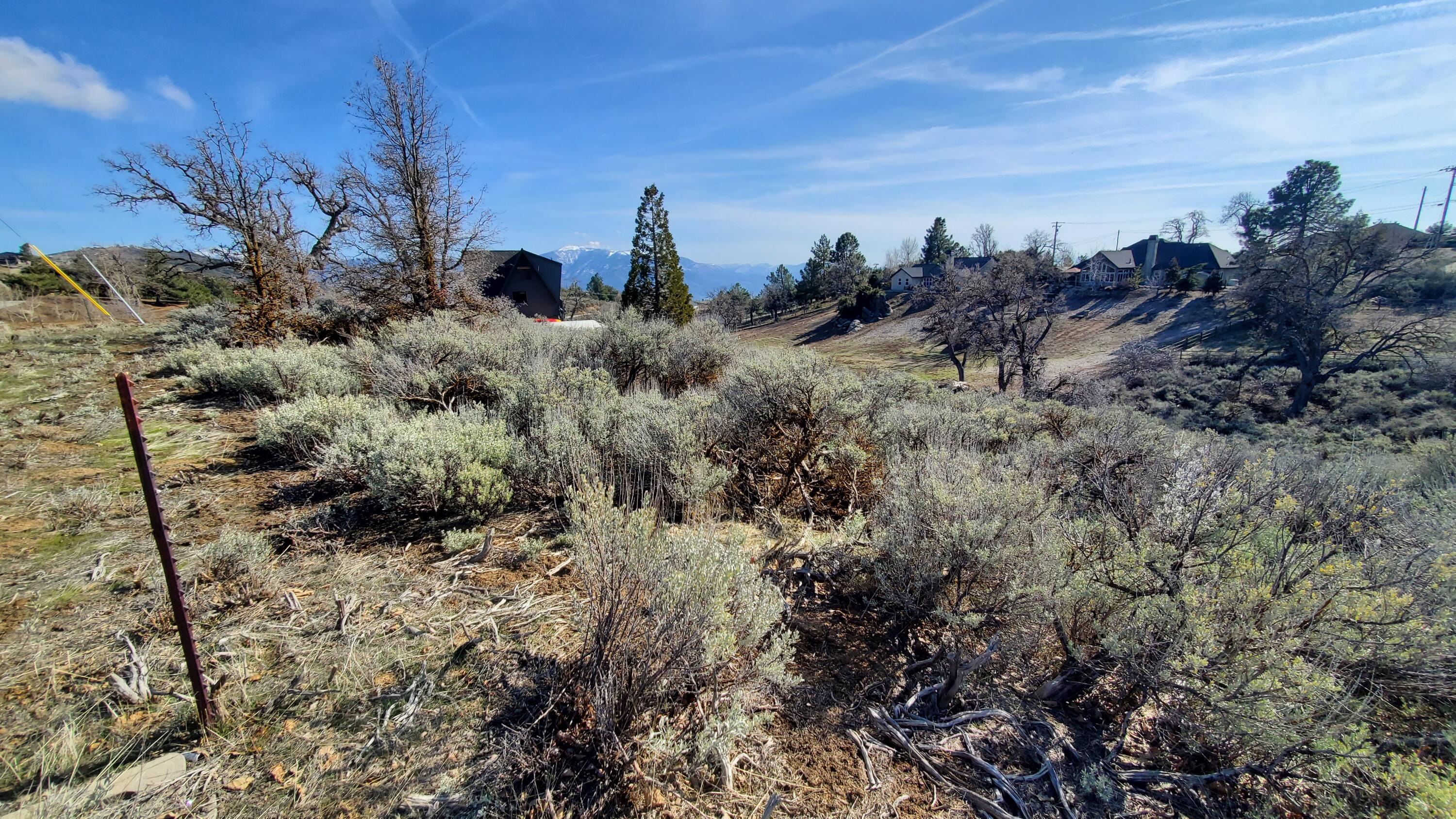 25041 Jacaranda Drive Tehachapi, CA 93561 - Photo 11 of 30 20230405_162057