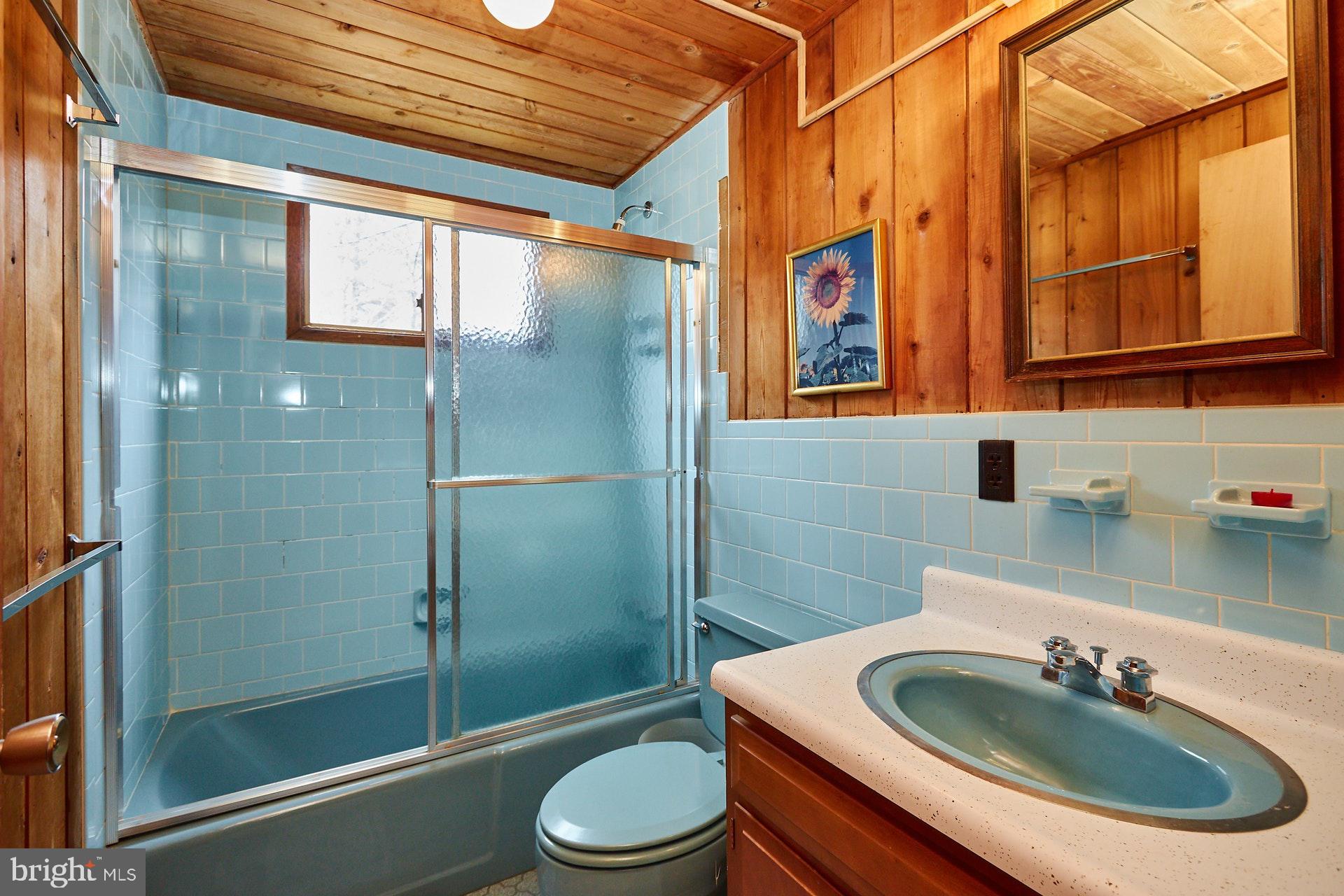 14045 Hume Road Hume, VA 22639 - Photo 19 of 43 Master Bathroom