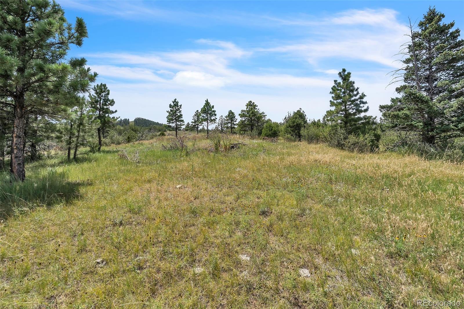 Beulah Highlands Road Beulah, CO 81023 - Photo 3 of 20