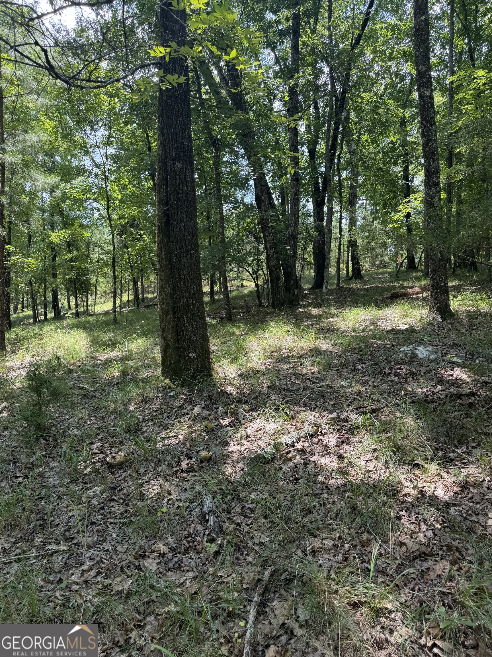 0 Pleasant Valley Road Thomaston, GA 30286 - Photo 6 of 20