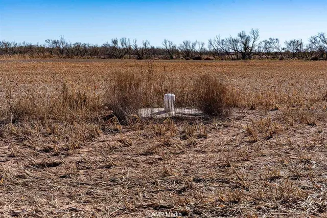 a view of lake with green space
