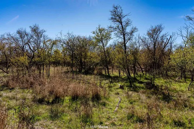 a view of a yard with large trees