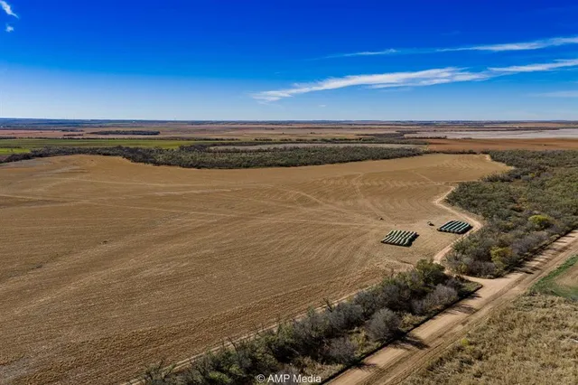 a view of a lake with a beach