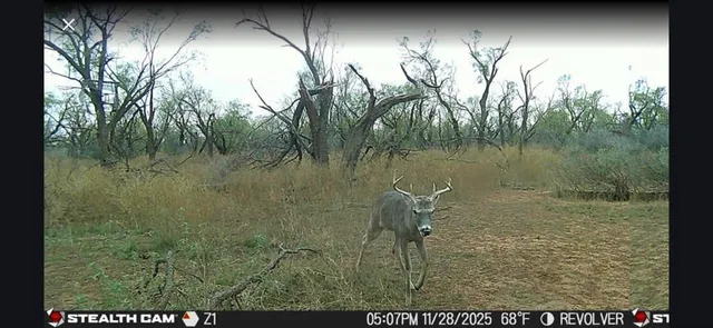 a view of swimming pool