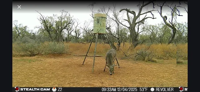 $922,176 | Cr Cr 110th Sylvester Tx 79560, McCaulley, TX 79534