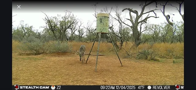 $922,176 | Cr Cr 110th Sylvester Tx 79560, McCaulley, TX 79534