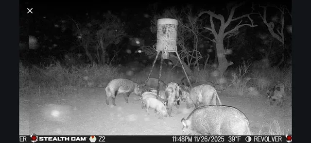 $922,176 | Cr Cr 110th Sylvester Tx 79560, McCaulley, TX 79534