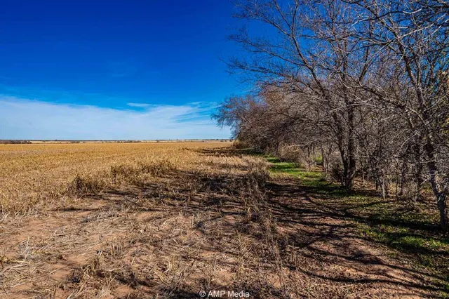 a view of a yard with wooden fence