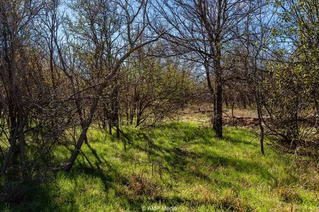 a view of yard with trees