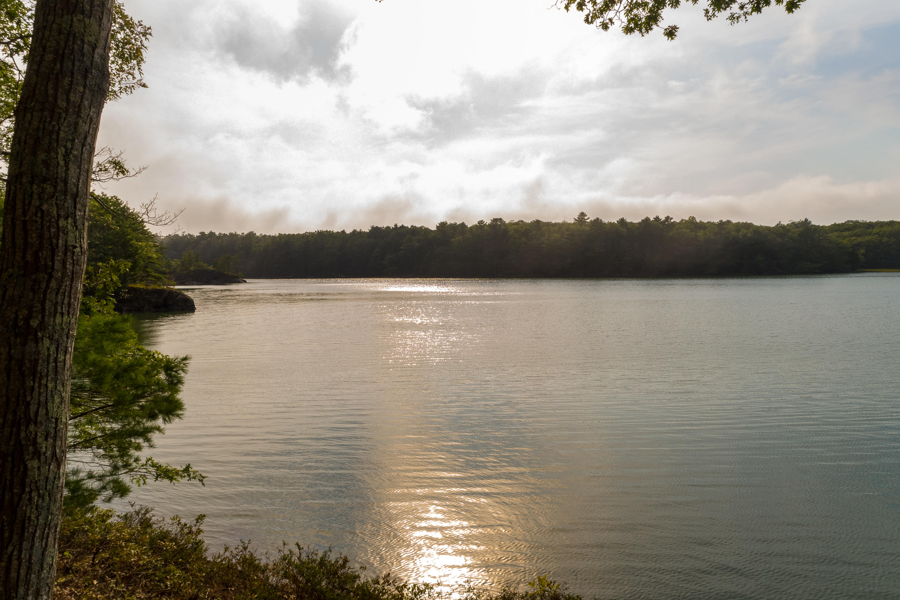 118 Harpswell Islands Road Harpswell, ME 04079 - Photo 2 of 42 350 ft on Doughty Cove