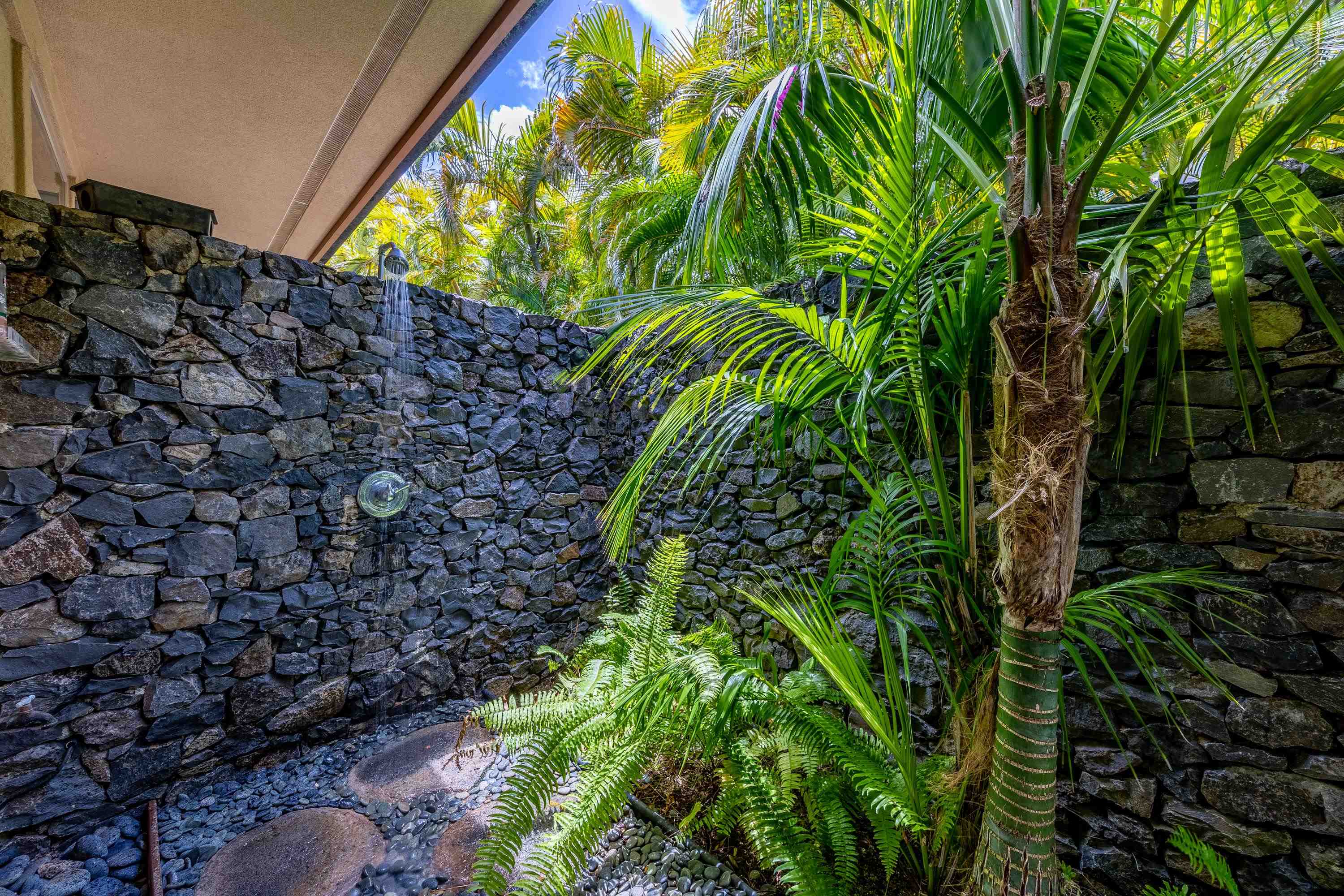 222 Crestview Road Lahaina, HI 96761 - Photo 11 of 49 Primary Outdoor Shower