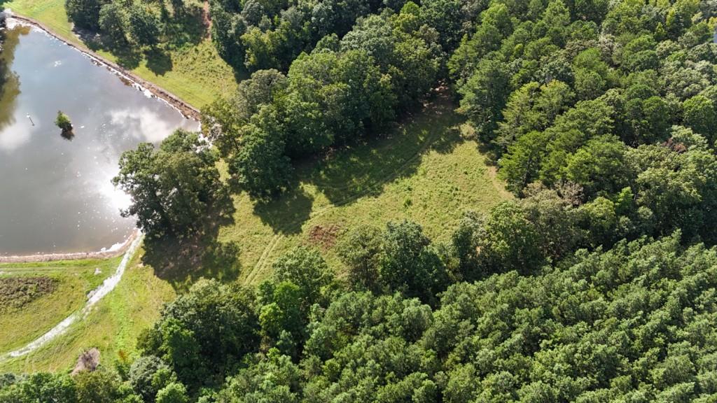 1 Snote Jones Road Dallas, GA 30132 - Photo 11 of 13 a view of a garden