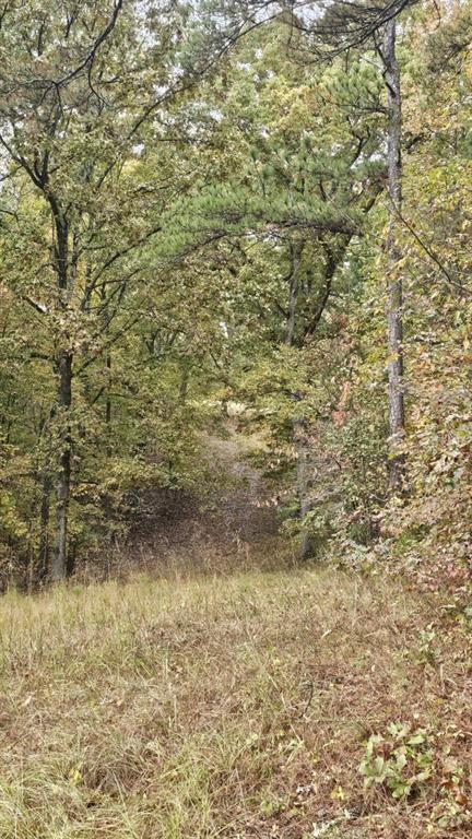 1 Snote Jones Road Dallas, GA 30132 - Photo 6 of 13 a view of a small yard