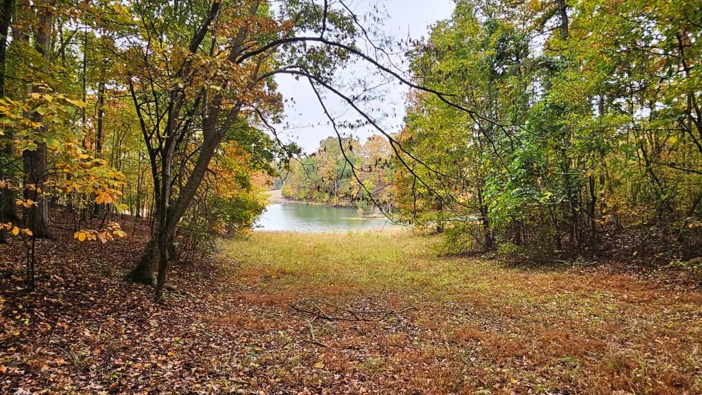 1 Snote Jones Road Dallas, GA 30132 - Photo 7 of 13 a view of lake view