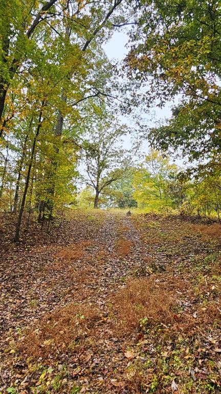 1 Snote Jones Road Dallas, GA 30132 - Photo 8 of 13 a view of ocean view