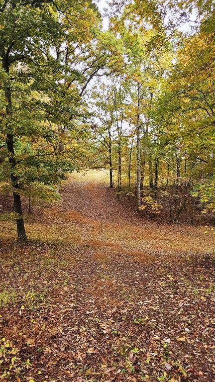 1 Snote Jones Road Dallas, GA 30132 - Photo 9 of 13 a view of dirt field with trees in the background