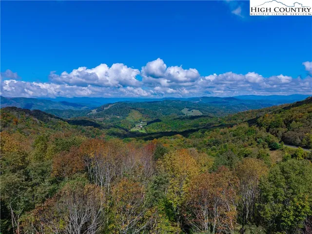 a view of a lake in middle of forest