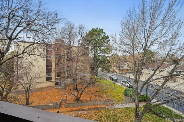 a view of yard along with trees