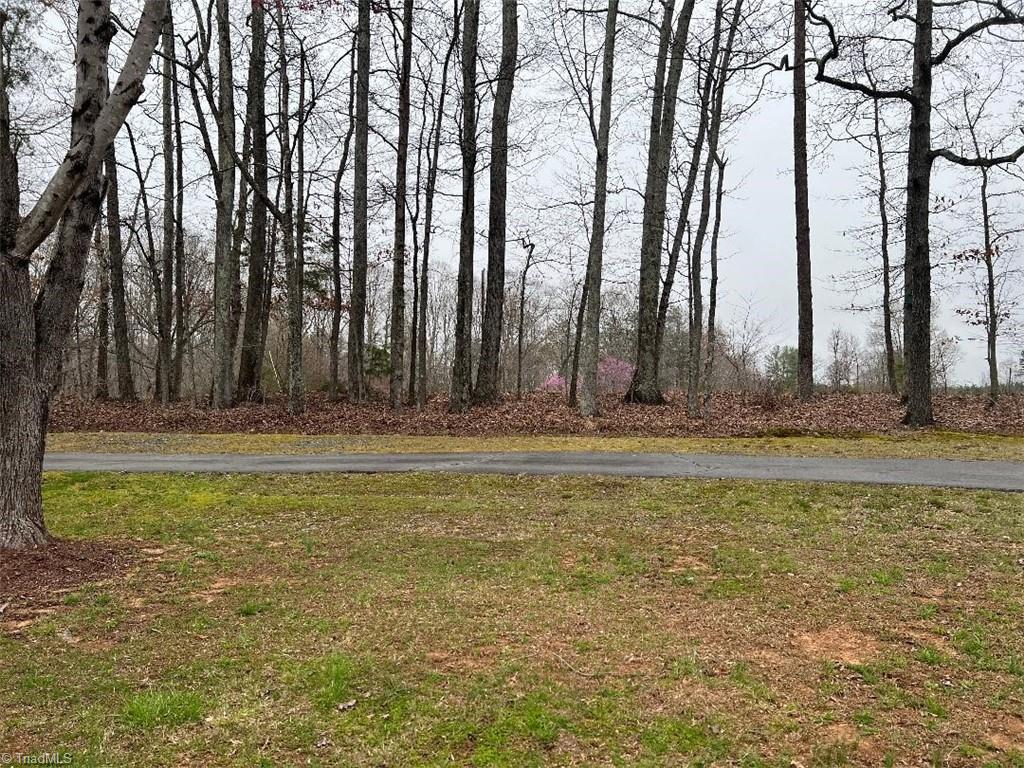 1247 Fred Merritt Road King, NC 27021 - Photo 16 of 40