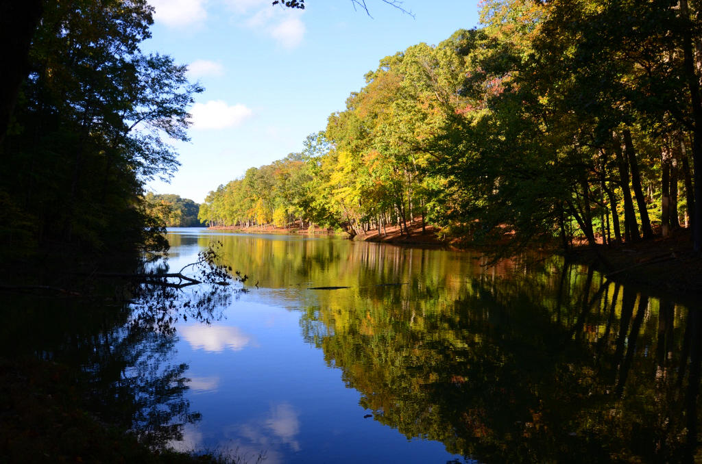 721 Lakeside Coves Way Ten Mile, TN 37880 - Photo 1 of 18 DSC_4439