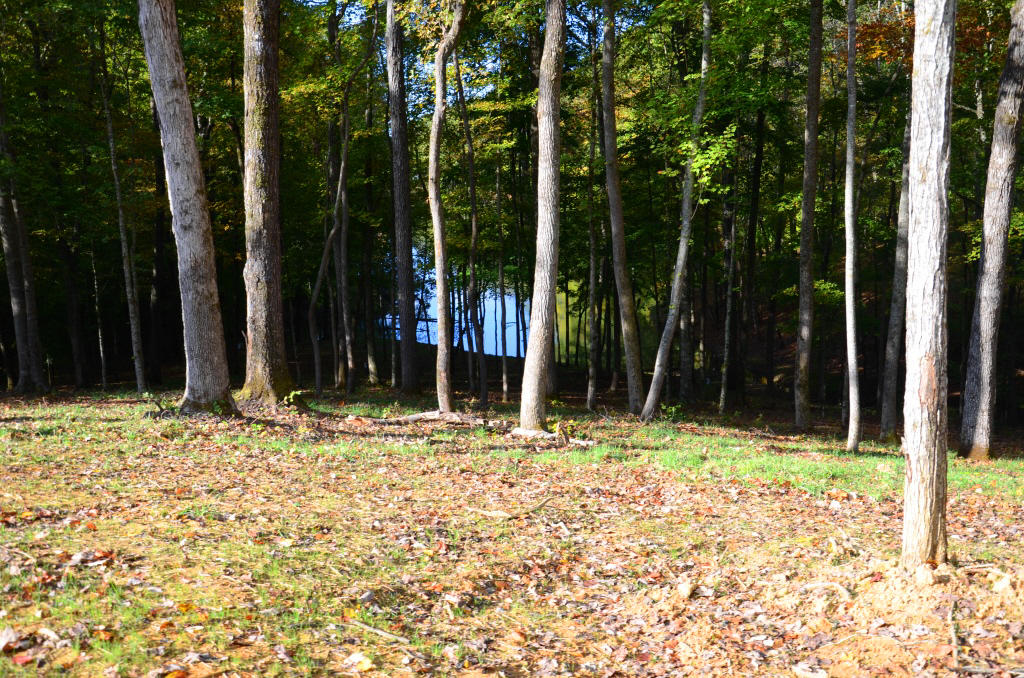 721 Lakeside Coves Way Ten Mile, TN 37880 - Photo 5 of 18 DSC_4443