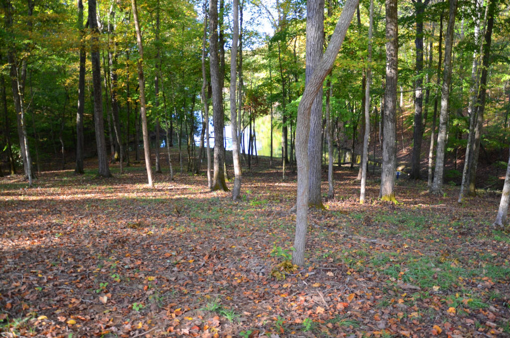 721 Lakeside Coves Way Ten Mile, TN 37880 - Photo 6 of 18 DSC_4441