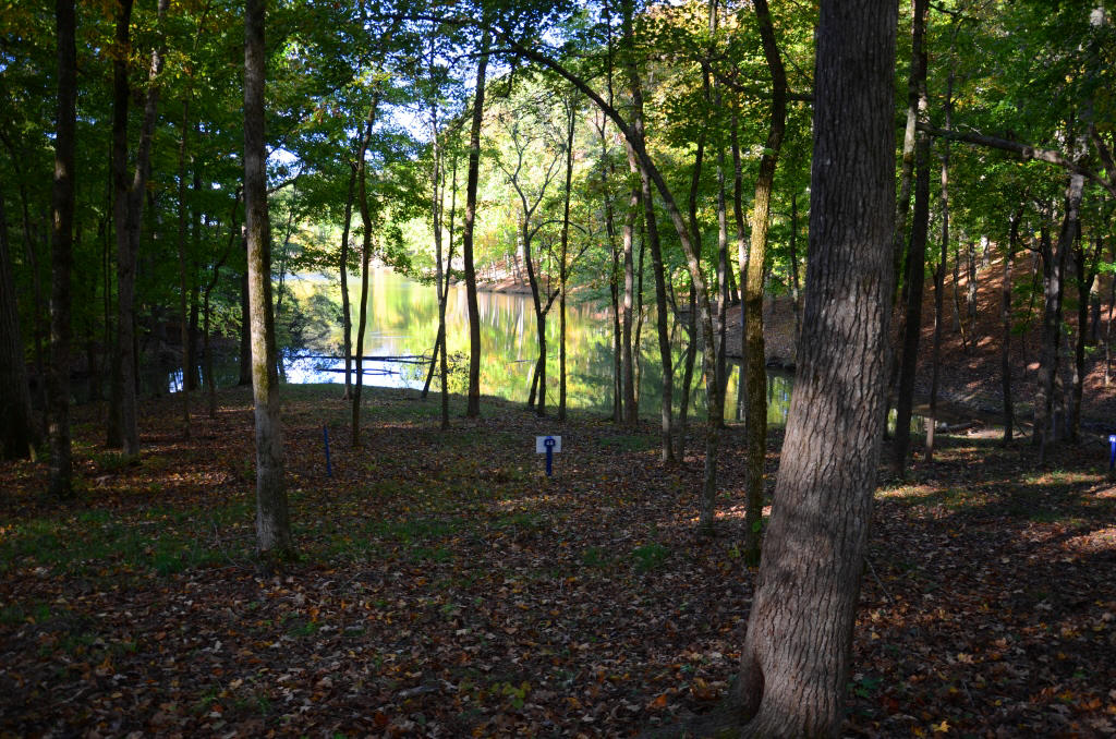 721 Lakeside Coves Way Ten Mile, TN 37880 - Photo 7 of 18 DSC_4440