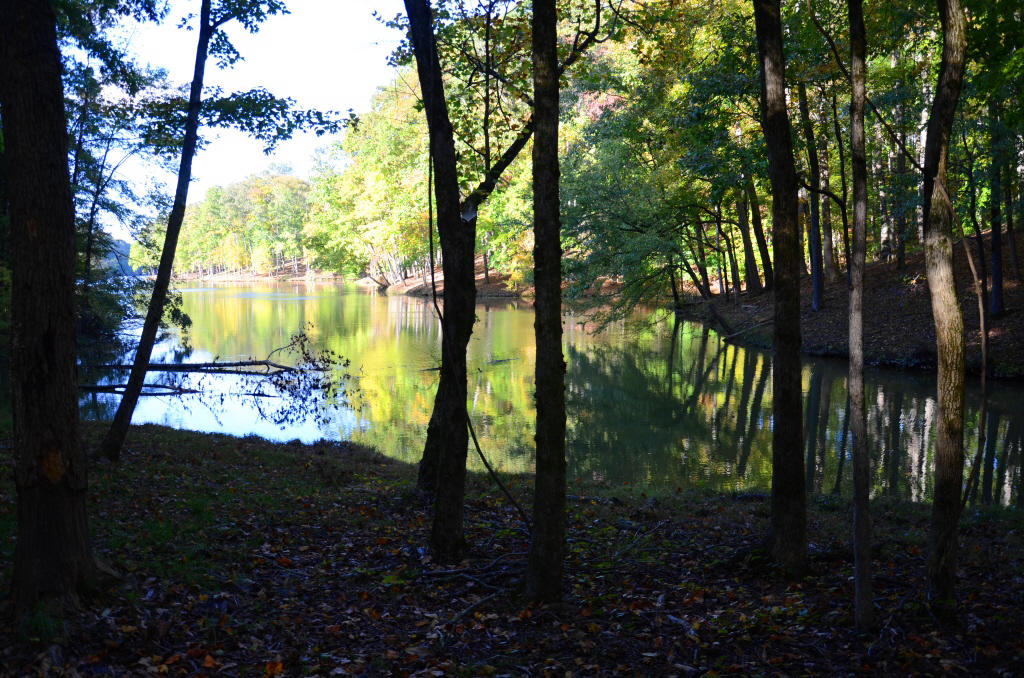 721 Lakeside Coves Way Ten Mile, TN 37880 - Photo 8 of 18 DSC_4438