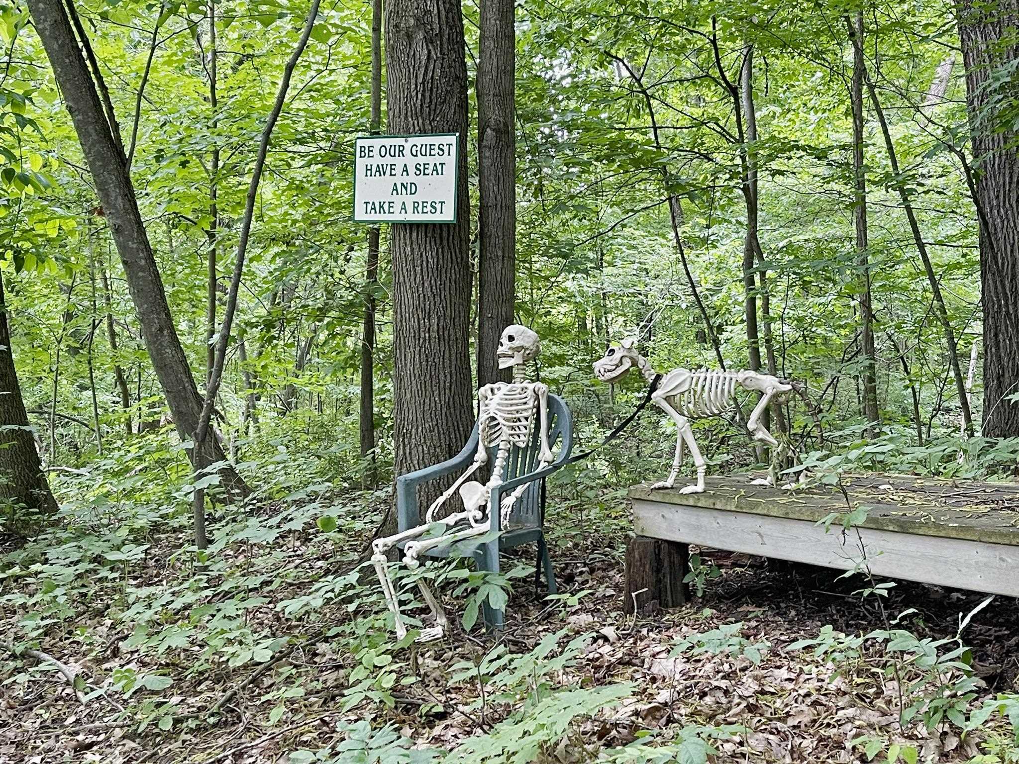 S1555 Farra Road Wonewoc, WI 53968 - Photo 82 of 90