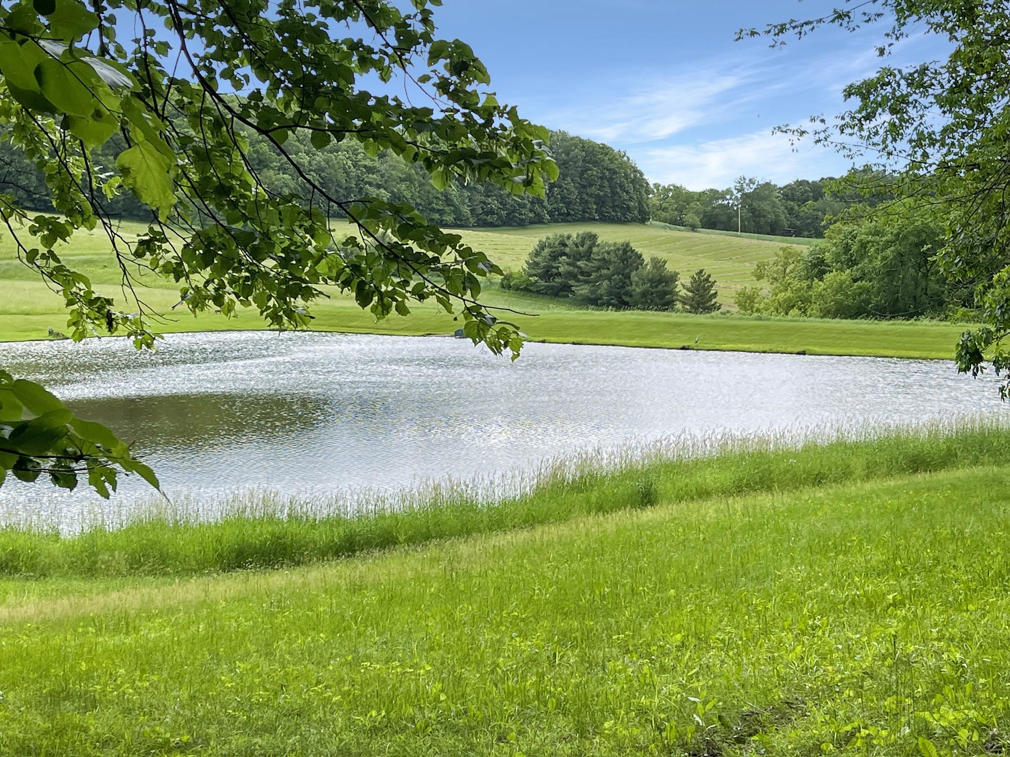 S1555 Farra Road Wonewoc, WI 53968 - Photo 85 of 90