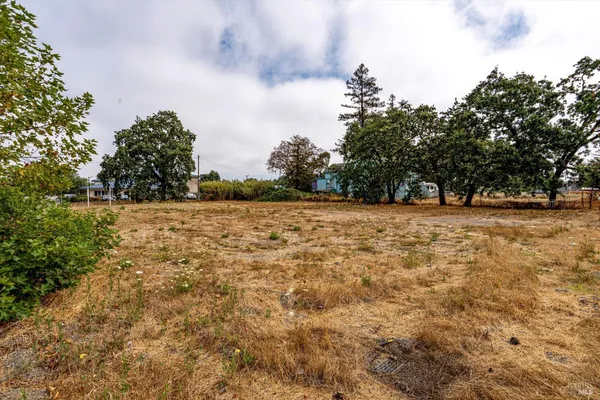 a view of yard with trees