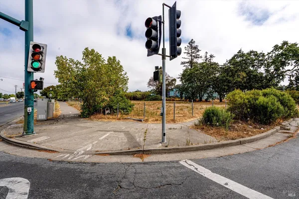 a street view along with trees