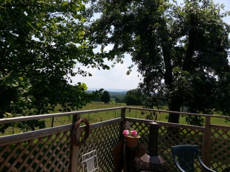 1250 Macedonia Road Spring City, TN 37381 - Photo 8 of 9 20140616_145102