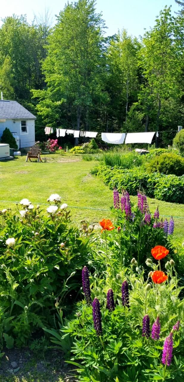 60 Chick Hill Road Clifton, ME 04428 - Photo 3 of 30 3