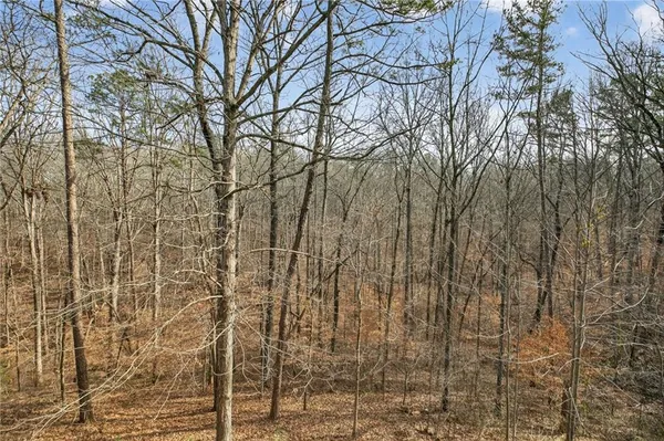 $450,000 | 135 Oakland Court, Tallapoosa, GA 30176