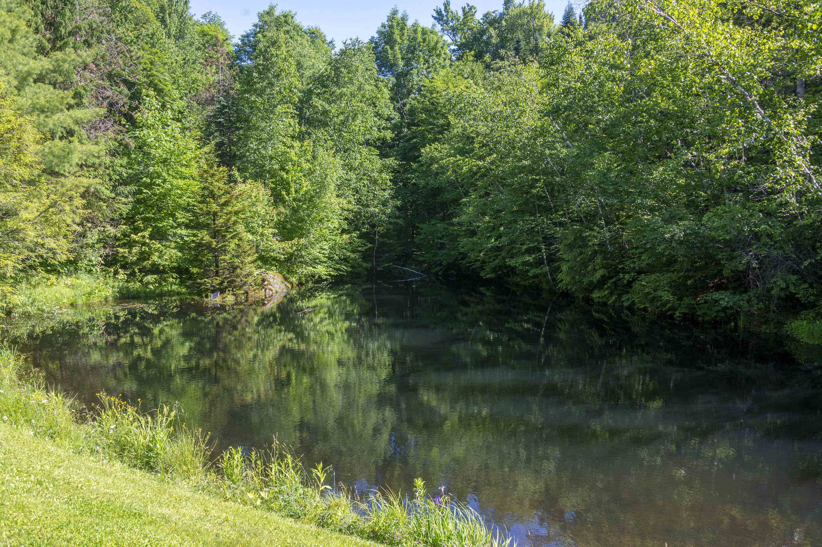 186 MacKenzie Road Worcester, VT 05682 - Photo 4 of 44