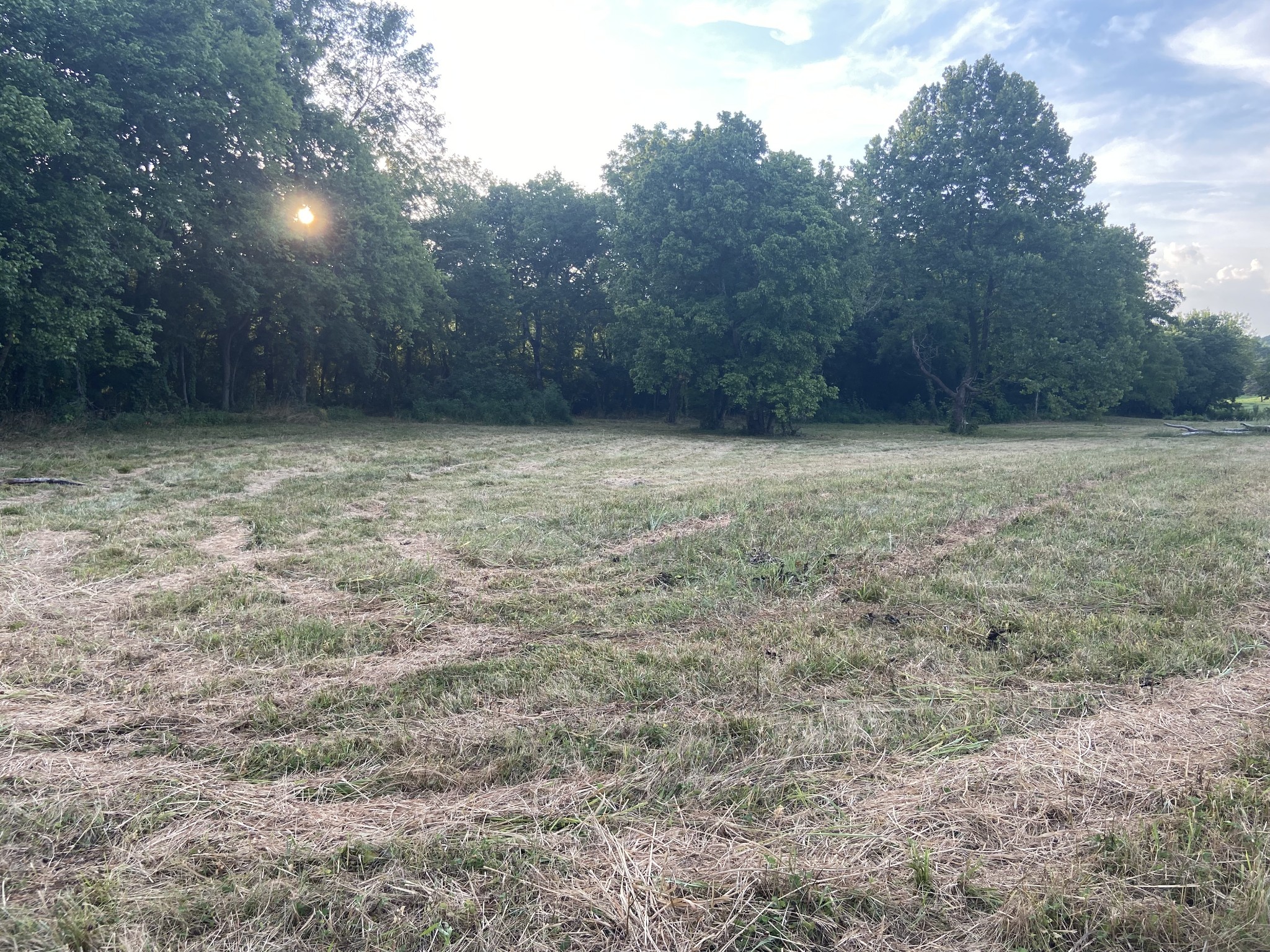 0 Taylors Store Road Hampshire, TN 38461 - Photo 1 of 6 Gallery Image 1
