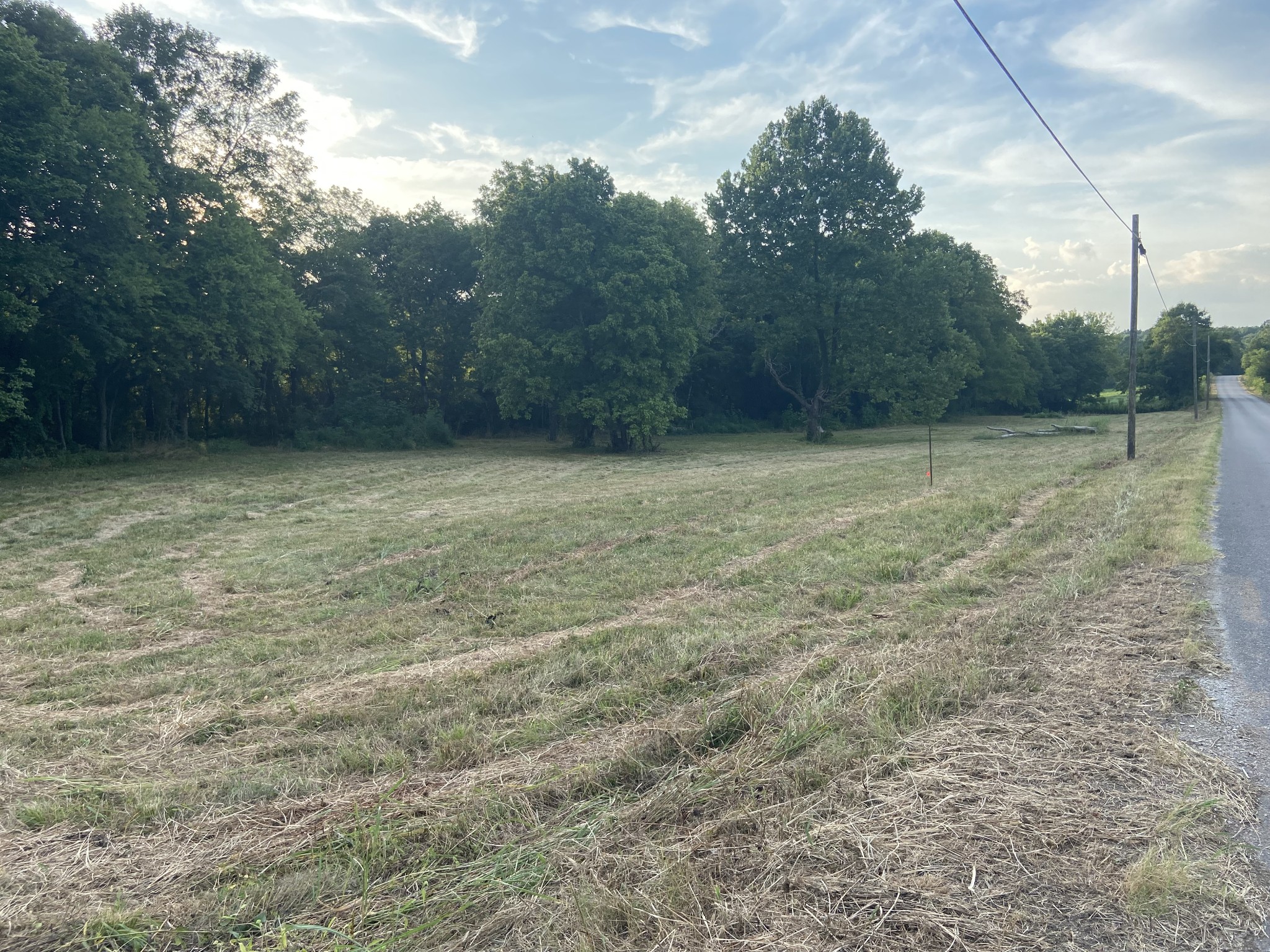 0 Taylors Store Road Hampshire, TN 38461 - Photo 2 of 6 Gallery Image 2
