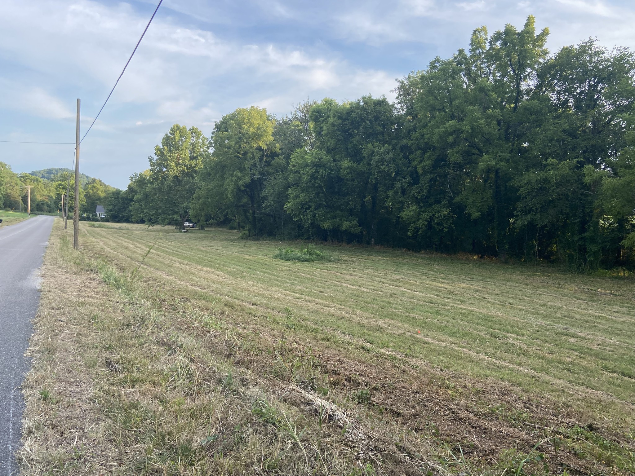 0 Taylors Store Road Hampshire, TN 38461 - Photo 3 of 6 Gallery Image 3
