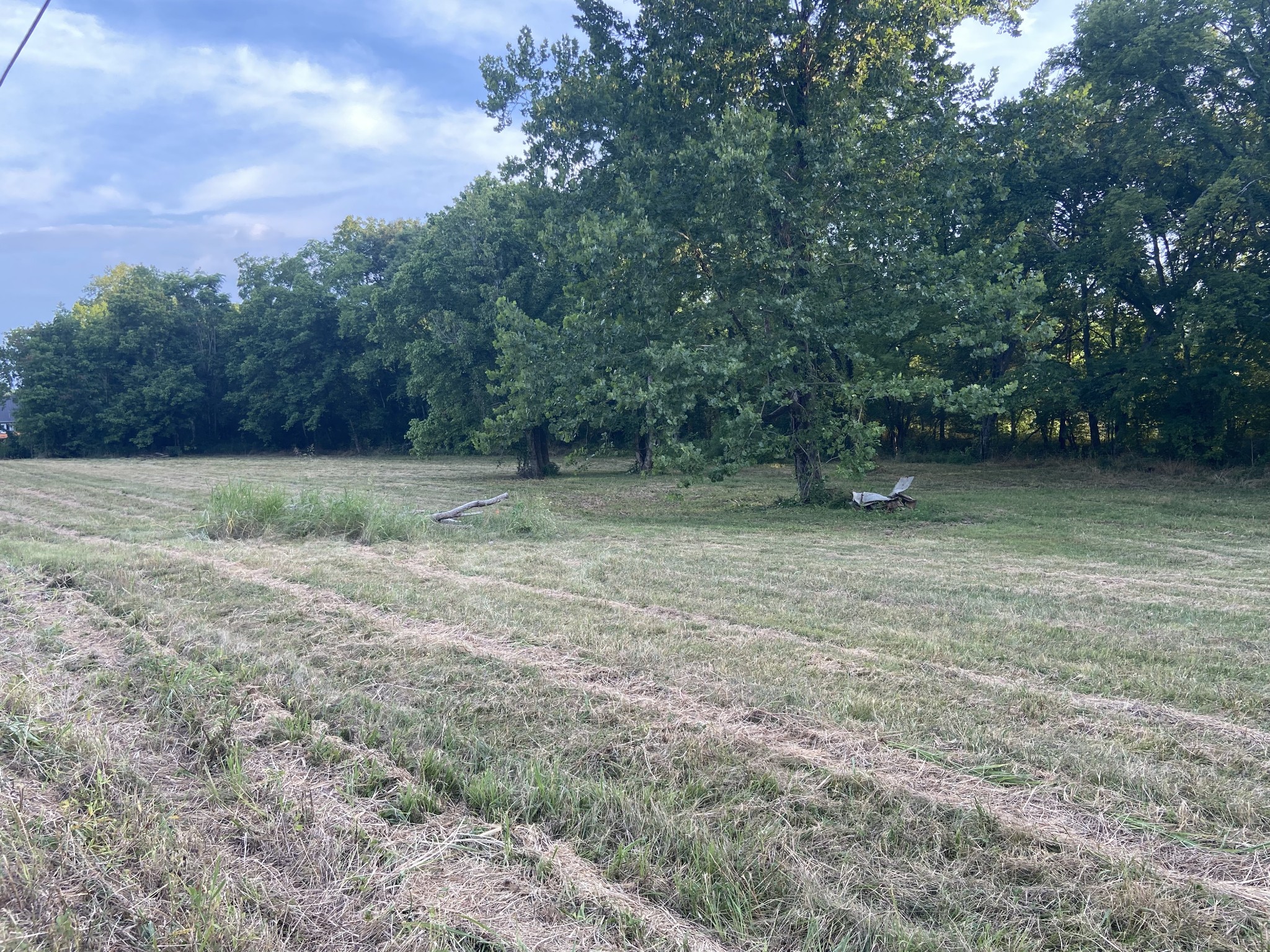 0 Taylors Store Road Hampshire, TN 38461 - Photo 4 of 6 Gallery Image 4