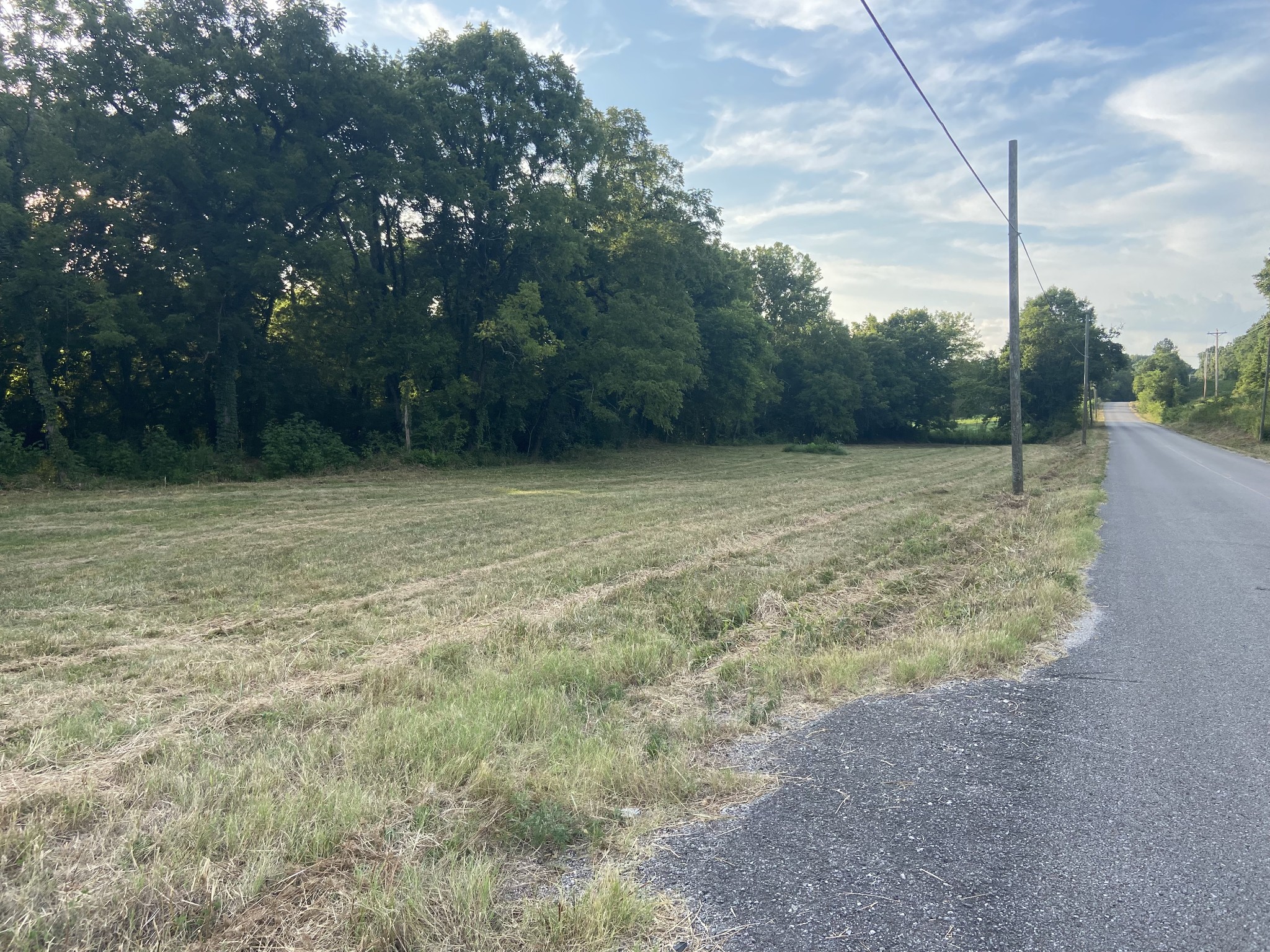 0 Taylors Store Road Hampshire, TN 38461 - Photo 5 of 6 Gallery Image 5
