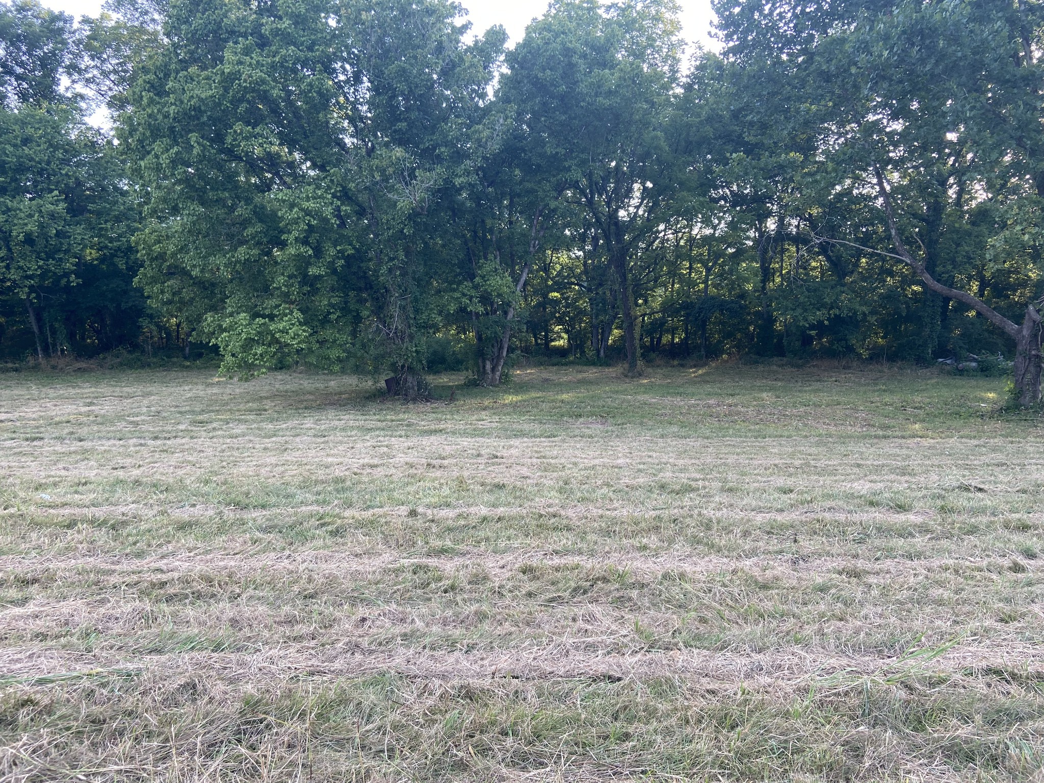 0 Taylors Store Road Hampshire, TN 38461 - Photo 6 of 6 Gallery Image 6
