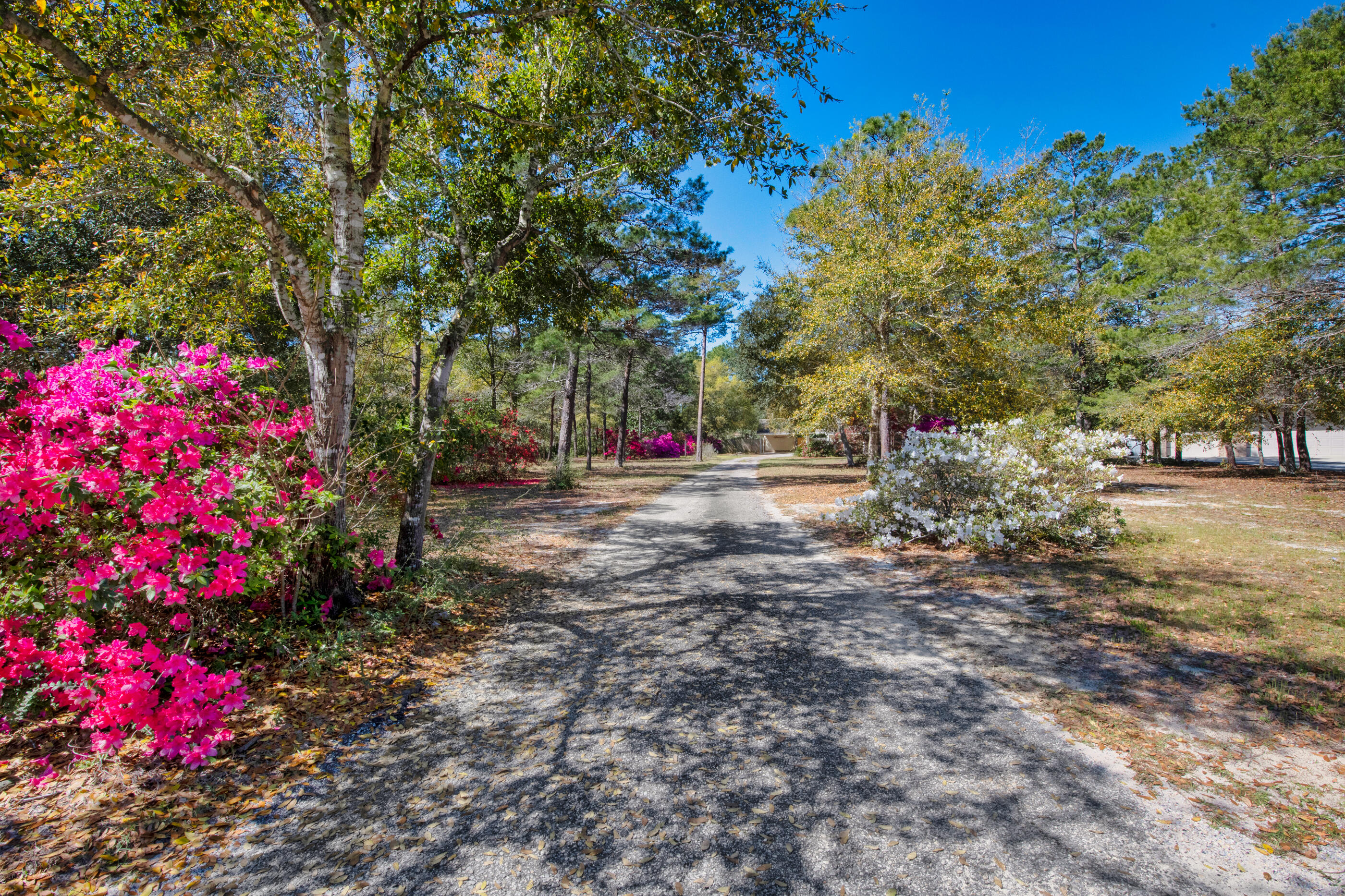 6539 Robar Tesora Street Navarre, FL 32566 - Photo 2 of 48 a backyard of a house with lots of green space and trees all around