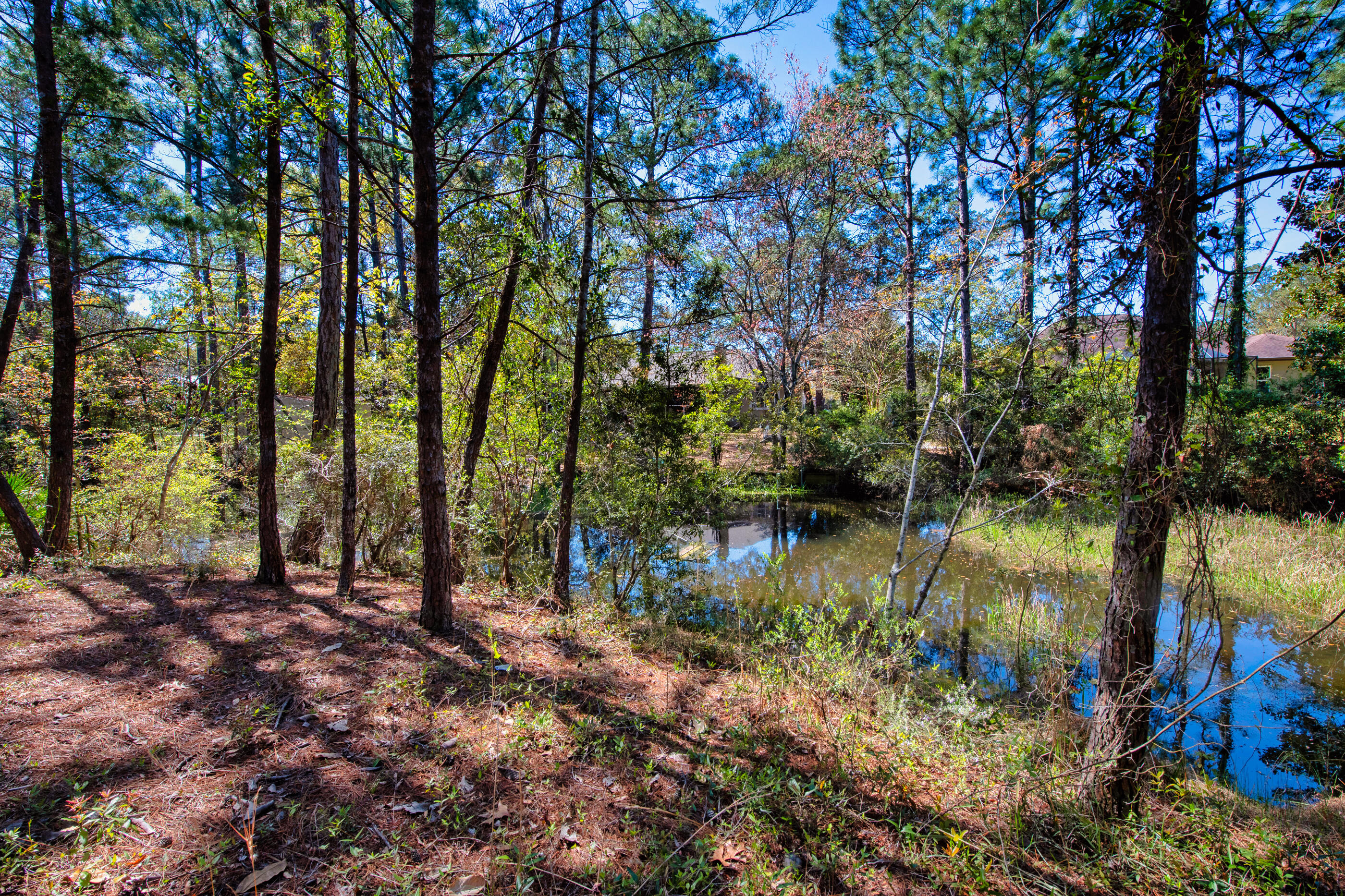 6539 Robar Tesora Street Navarre, FL 32566 - Photo 40 of 48 a view of lake with green space