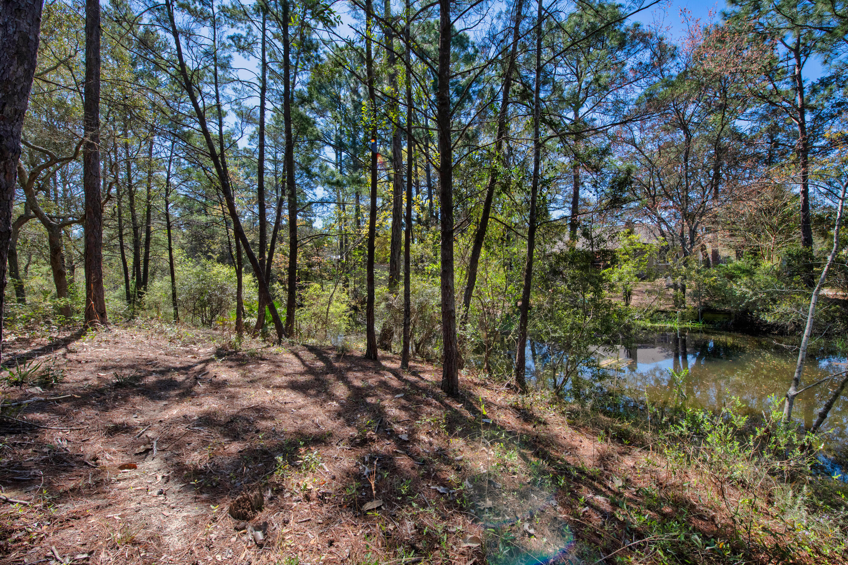 6539 Robar Tesora Street Navarre, FL 32566 - Photo 41 of 48 a view of lake with green space