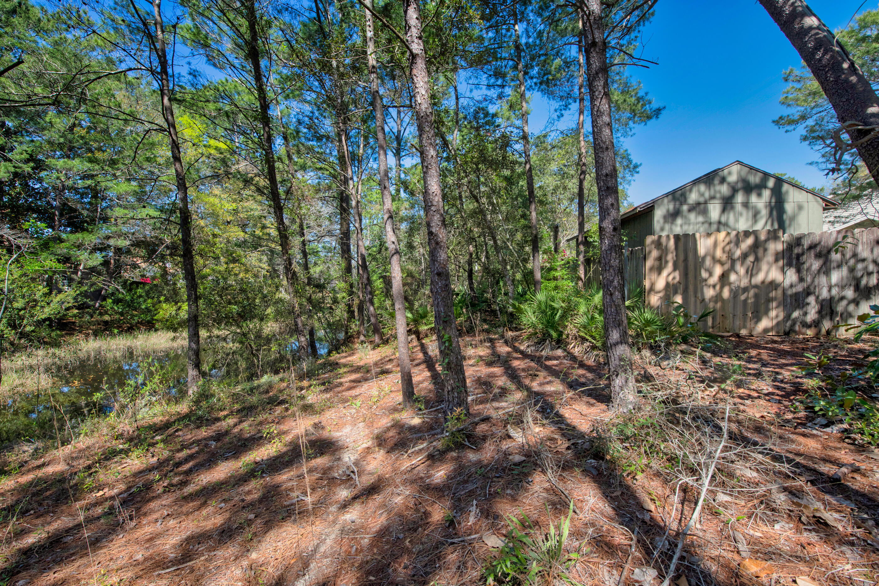 6539 Robar Tesora Street Navarre, FL 32566 - Photo 42 of 48 a view of a forest with a tree