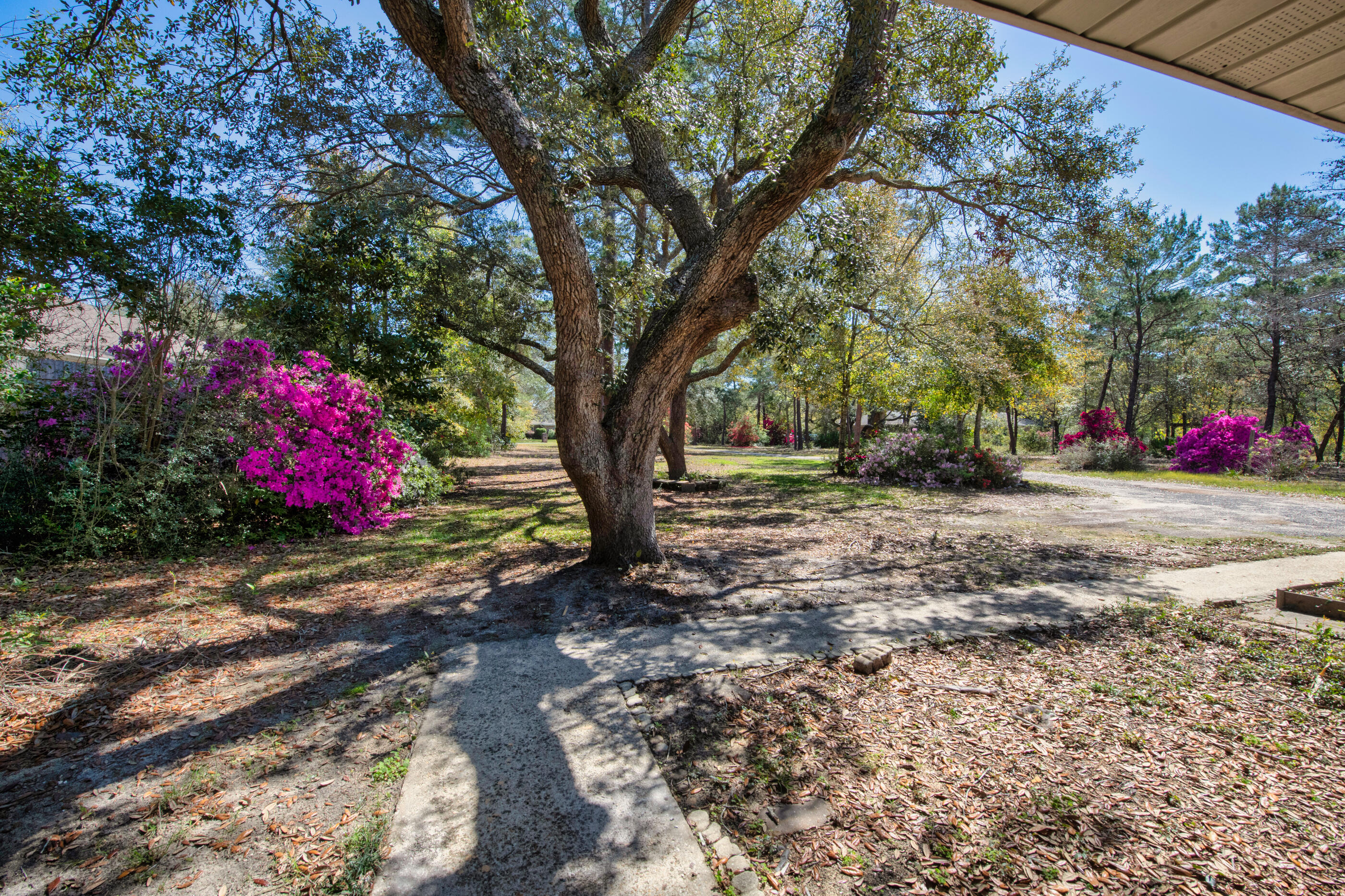 6539 Robar Tesora Street Navarre, FL 32566 - Photo 46 of 48