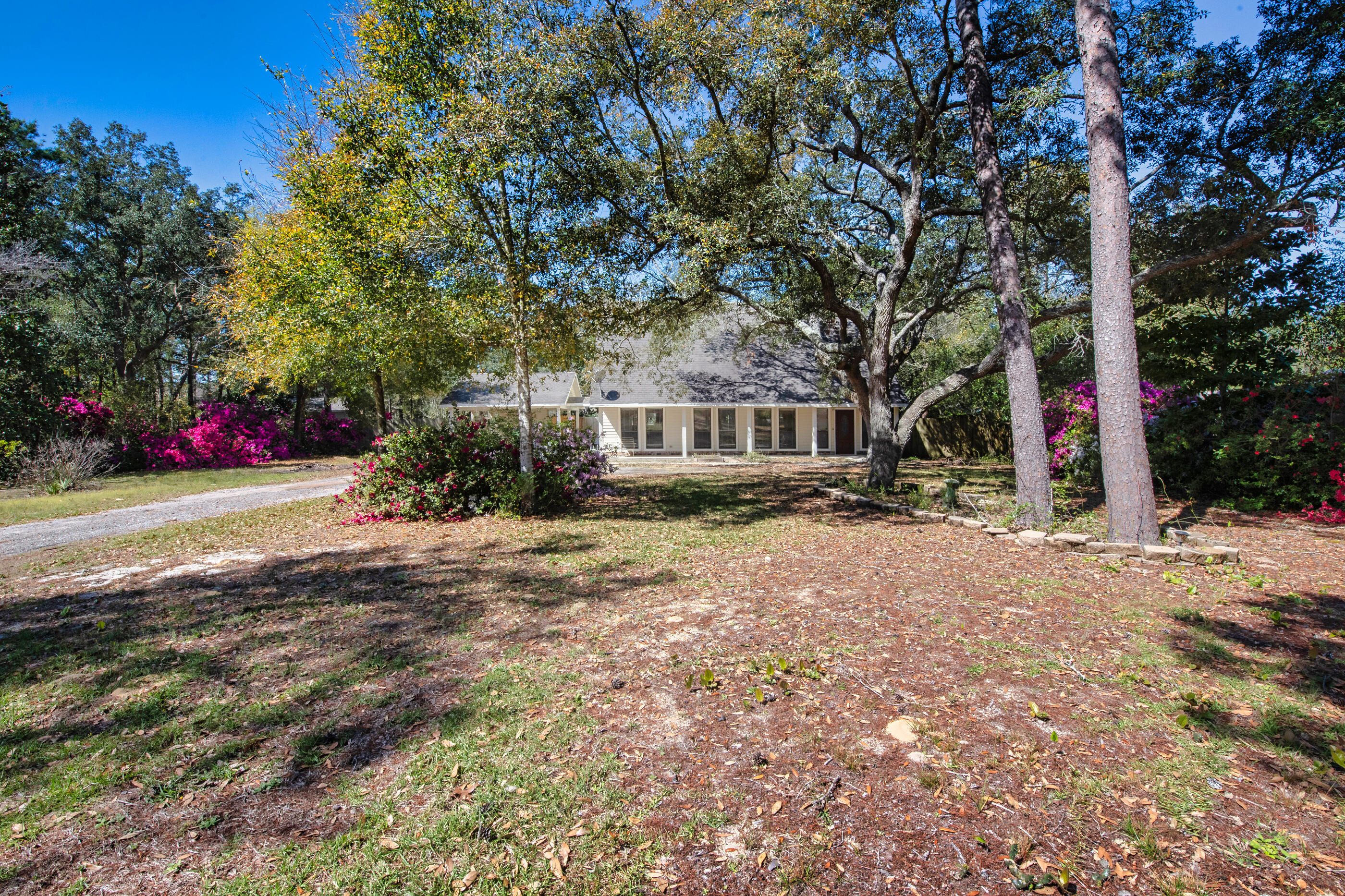 6539 Robar Tesora Street Navarre, FL 32566 - Photo 47 of 48 a front view of a house with a yard and tree