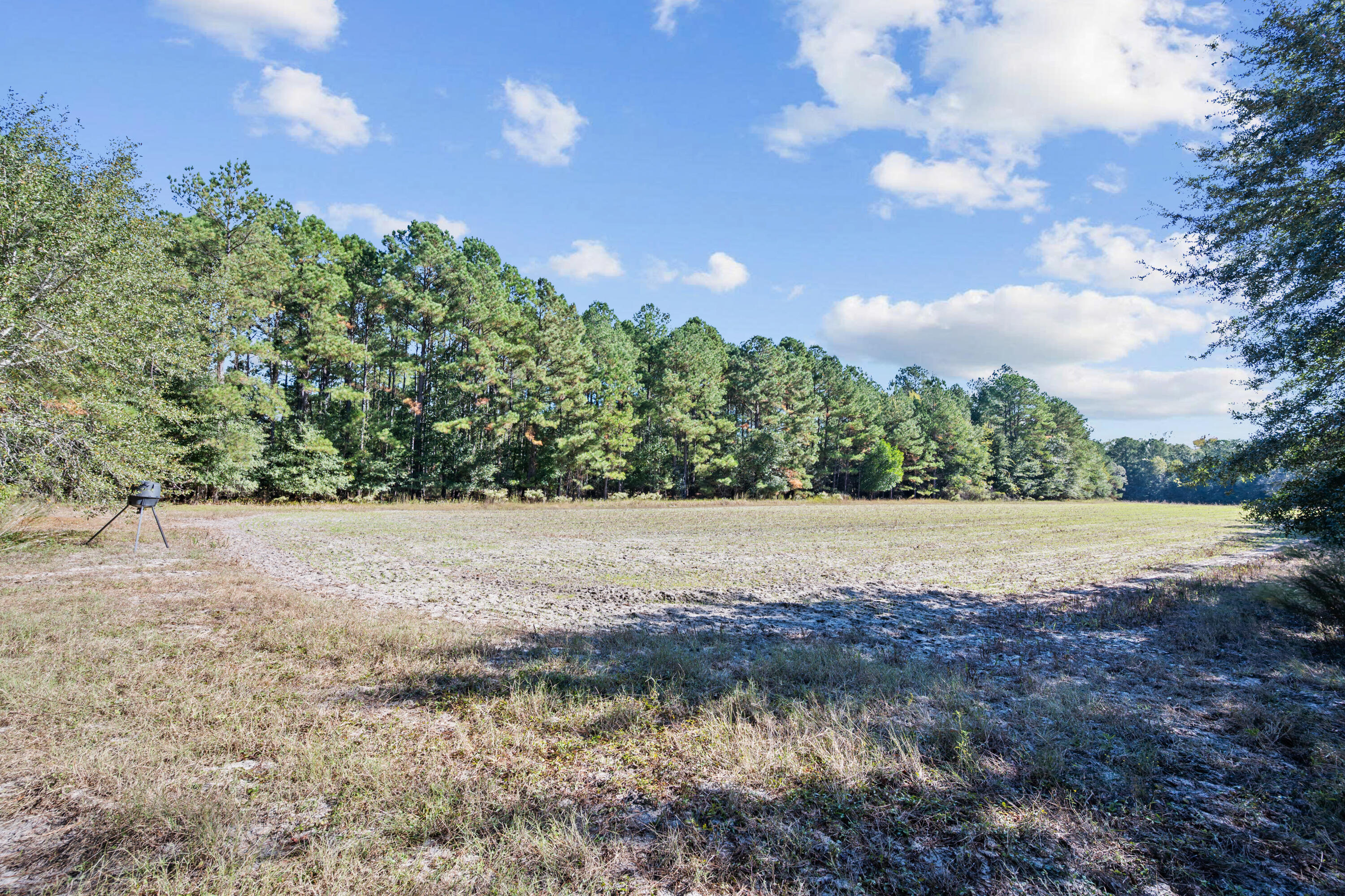 7901 State Rd S-6-169 Blackville, SC 29817 - Photo 67 of 89